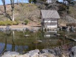 ウォーターパークシラヤマの写真のサムネイル写真63