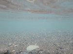 ウォーターパークシラヤマの写真のサムネイル写真24