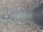 ウォーターパークシラヤマの写真のサムネイル写真26