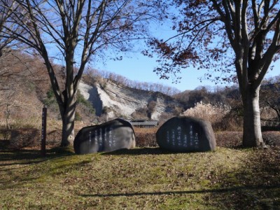 賢治・嘉内　友情の歌碑の写真