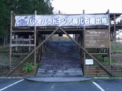 般若の丘公園の写真2