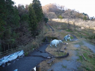 般若の丘公園の写真7