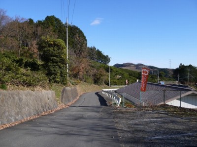 大内沢観光みかん園（皇鈴園）の写真4