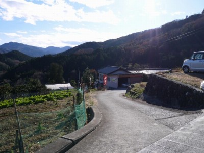 大内沢観光みかん園（皇鈴園）の写真5