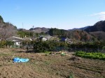 大内沢観光みかん園（皇鈴園）の写真のサムネイル写真6