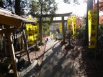 聖神社の写真のサムネイル写真5