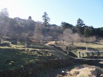 あじさい山公園の写真