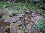 黒山三滝の写真のサムネイル写真7