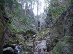 黒山三滝の写真のサムネイル写真62