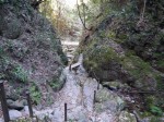 黒山三滝の写真のサムネイル写真66