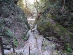 黒山三滝の写真のサムネイル写真66