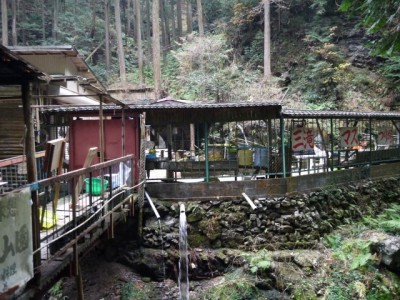 三滝マスつり場 黒山園の写真2