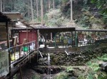 三滝マスつり場黒山園の写真のサムネイル写真2
