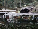 三滝マスつり場黒山園の写真のサムネイル写真3