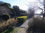 山吹の里歴史公園の写真のサムネイル写真4