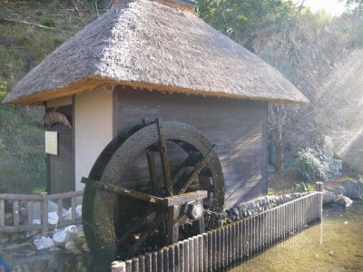 山吹の里歴史公園の写真9