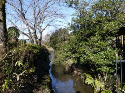 山吹の里歴史公園の写真10