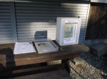 山吹の里歴史公園の写真のサムネイル写真15