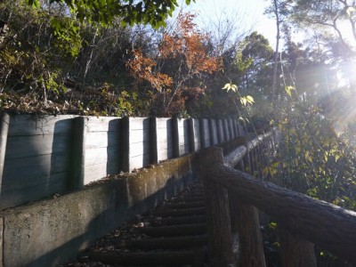 山吹の里歴史公園の写真19