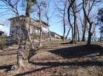 山吹の里歴史公園の写真のサムネイル写真21