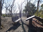 山吹の里歴史公園の写真のサムネイル写真22