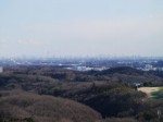 二ノ宮山展望台の写真のサムネイル写真15