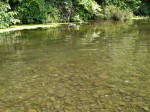槻川の河原1の写真のサムネイル写真4