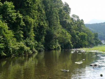 槻川の河原1の写真5