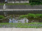 栃本親水公園の写真のサムネイル写真4