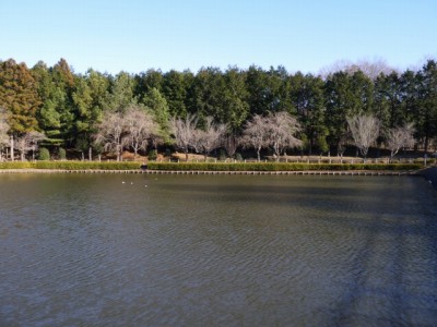 鳩山町農村公園（ふれあいの里）の写真7