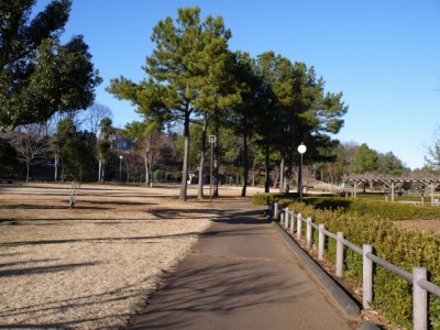 鳩山町農村公園（ふれあいの里）の写真11