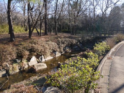 鳩山町農村公園（ふれあいの里）の写真20