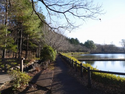 鳩山町農村公園（ふれあいの里）の写真22