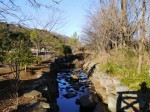 鳩山町農村公園（ふれあいの里）の写真のサムネイル写真25