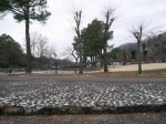 鳩山町農村公園（ふれあいの里）の写真のサムネイル写真27