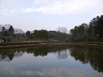 鳩山町農村公園（ふれあいの里）の写真のサムネイル写真30