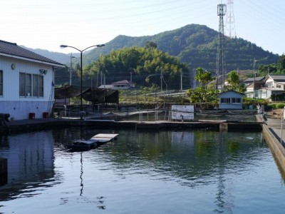 元田養鱒場の写真