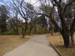 与野公園の写真のサムネイル写真4