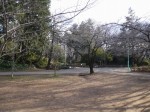 与野公園の写真のサムネイル写真7