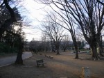 与野公園の写真のサムネイル写真11