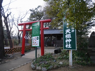 与野公園の写真13