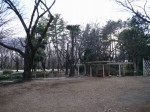 与野公園の写真のサムネイル写真14