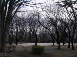 与野公園の写真のサムネイル写真15