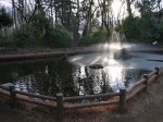 与野公園の写真のサムネイル写真18