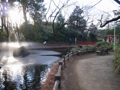 与野公園の写真19