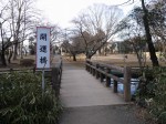 与野公園の写真のサムネイル写真22