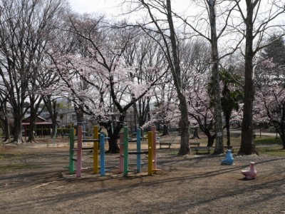 与野公園の写真27