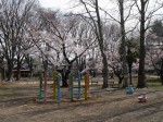 与野公園の写真のサムネイル写真27