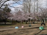 与野公園の写真のサムネイル写真30