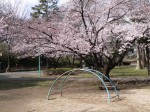 与野公園の写真のサムネイル写真32